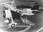 f9c_sparrowhawk